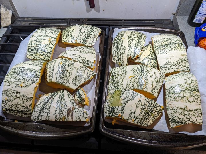 Pieces of cut squash, coated in oil and salt, laid with the inside down on aluminum foil or parchment paper