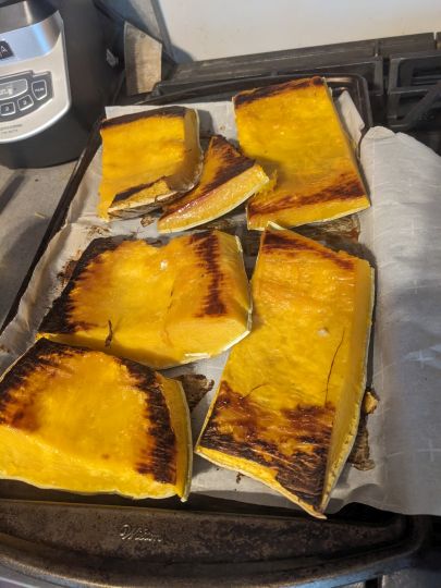 Roasted cushaw pieces after approximately an hour roasting in the oven.